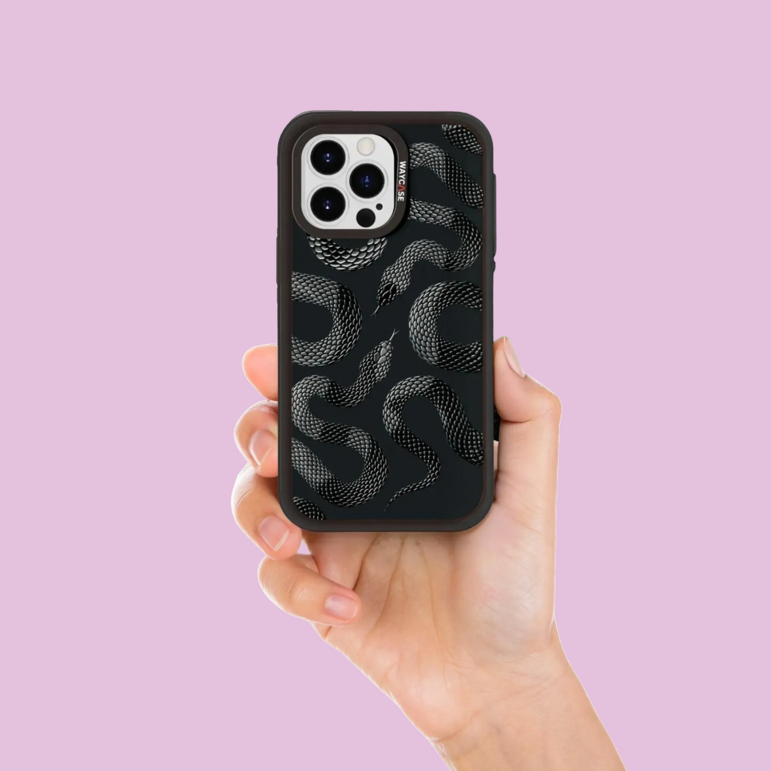 iPhone 16 Series