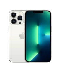 iPhone 13 Pro Max Silver- Best price at WayCase